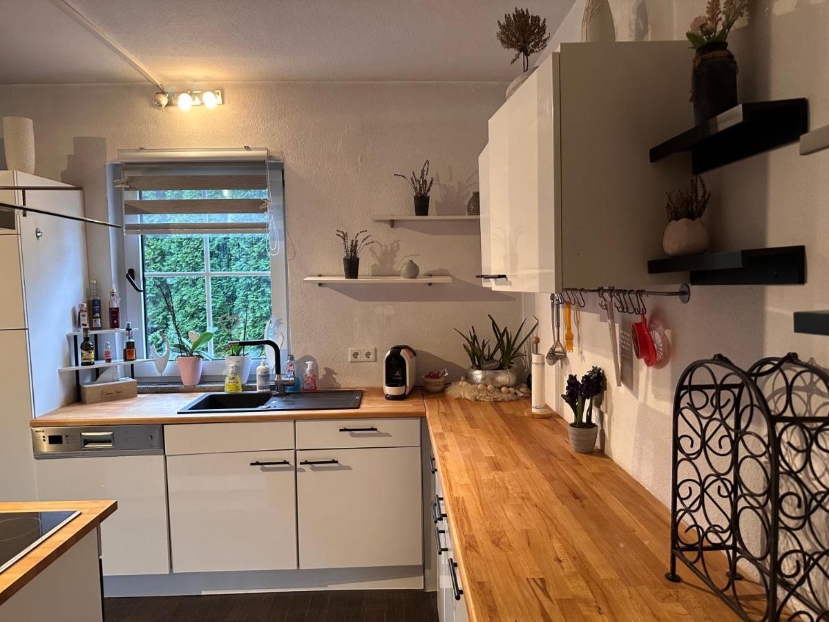4 Zimmer 11 Personen Wohnung Garten Terrasse Grill 2 Badezimmer Вупперталь Экстерьер фото